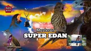 MASTERAN SUPER EDAN