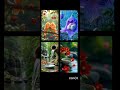 kannada story tells  is live! nature relaxing clips #short #trending #viral #relaxing #sleeping