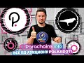 Как следить за аукционом парачейнов? |  Parachains Info - полный обзор