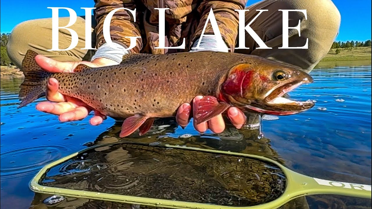 Best Lake in Arizona? Fly Fishing & Camping at Big Lake with Desert Fly Casters!