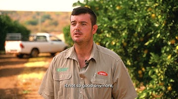 Advantages of biocontrol in IPM for citrus