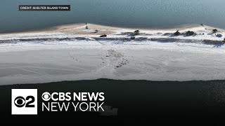 2 people, dog rescued from frigid water off Shelter Island