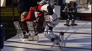 I Am Becoming A Japanese Robot Wrestling Commentator