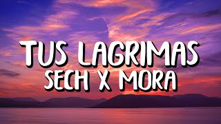 Mora x Sech - Tus Lágrimas (Letra/Lyrics)