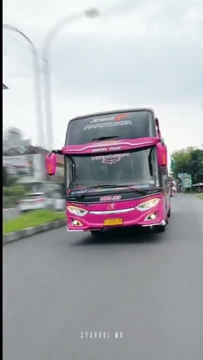 STORY WA BUS PARIWISATA SUBUR JAYA TERBARU 29 DETIK || #SHORT #bussuburjaya