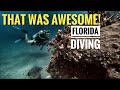 Chance Encounter at the Blue Heron Bridge | Florida Scuba Diving