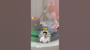 Khi tất cả con người cùng ăn chay, động vật có phát triển quá mức không.. #anchaycungdat   #accdat