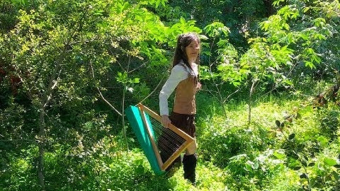 Gravel Walk on a Cardboard Harp in the Woods