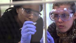 Framingham State University Opens Hemenway Labs