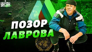 Новый позор лошадиной морды, или как Лаврова высмеяли в ООН