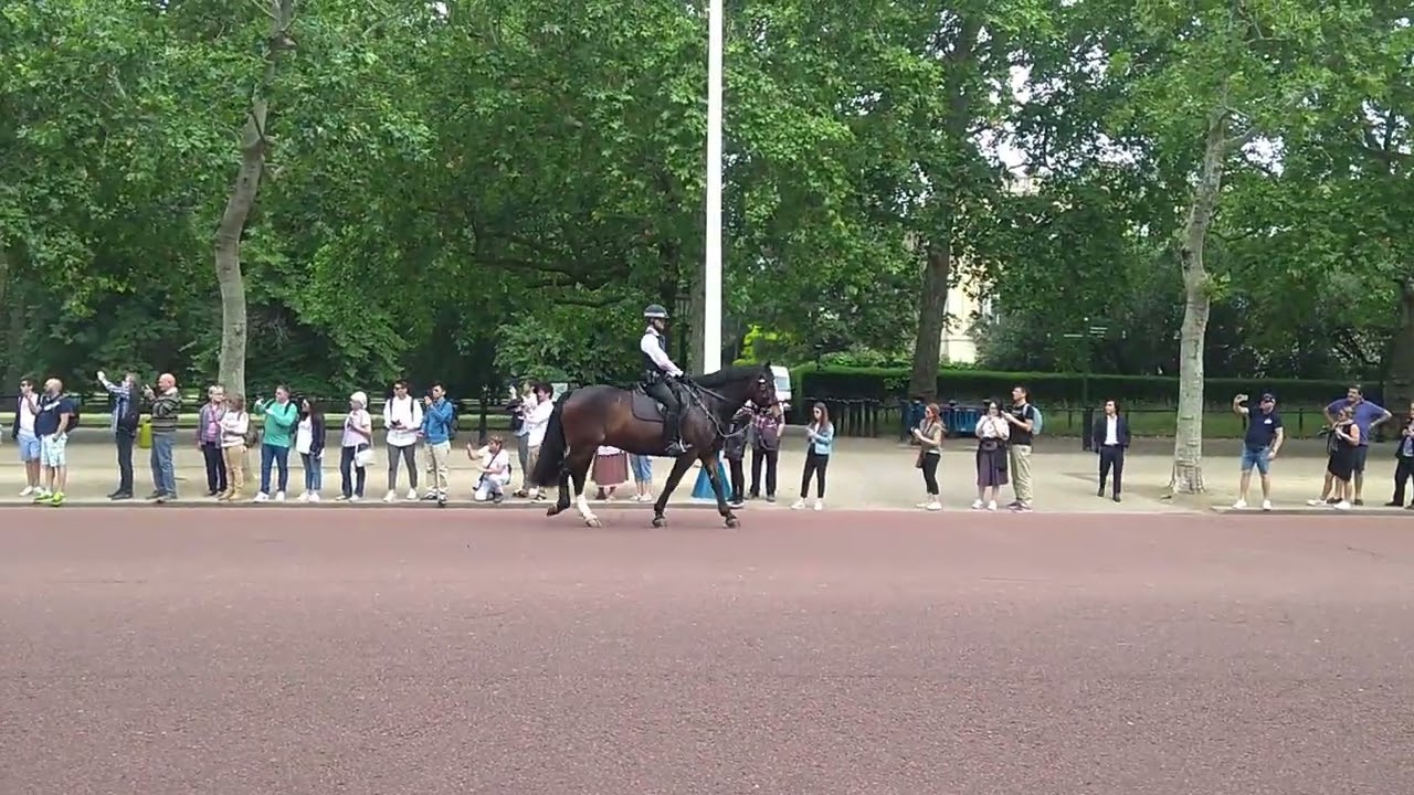 Palácio da Rainha Elizabeth 