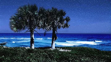 Sleeping By The Palm Trees With Soothing Ocean Sounds, Deep Sleep Video From Orchid Bay Beach