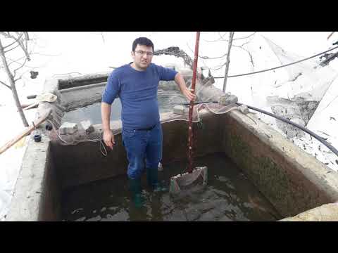 Video: Bir Balık Tankı Nasıl Temizlenir