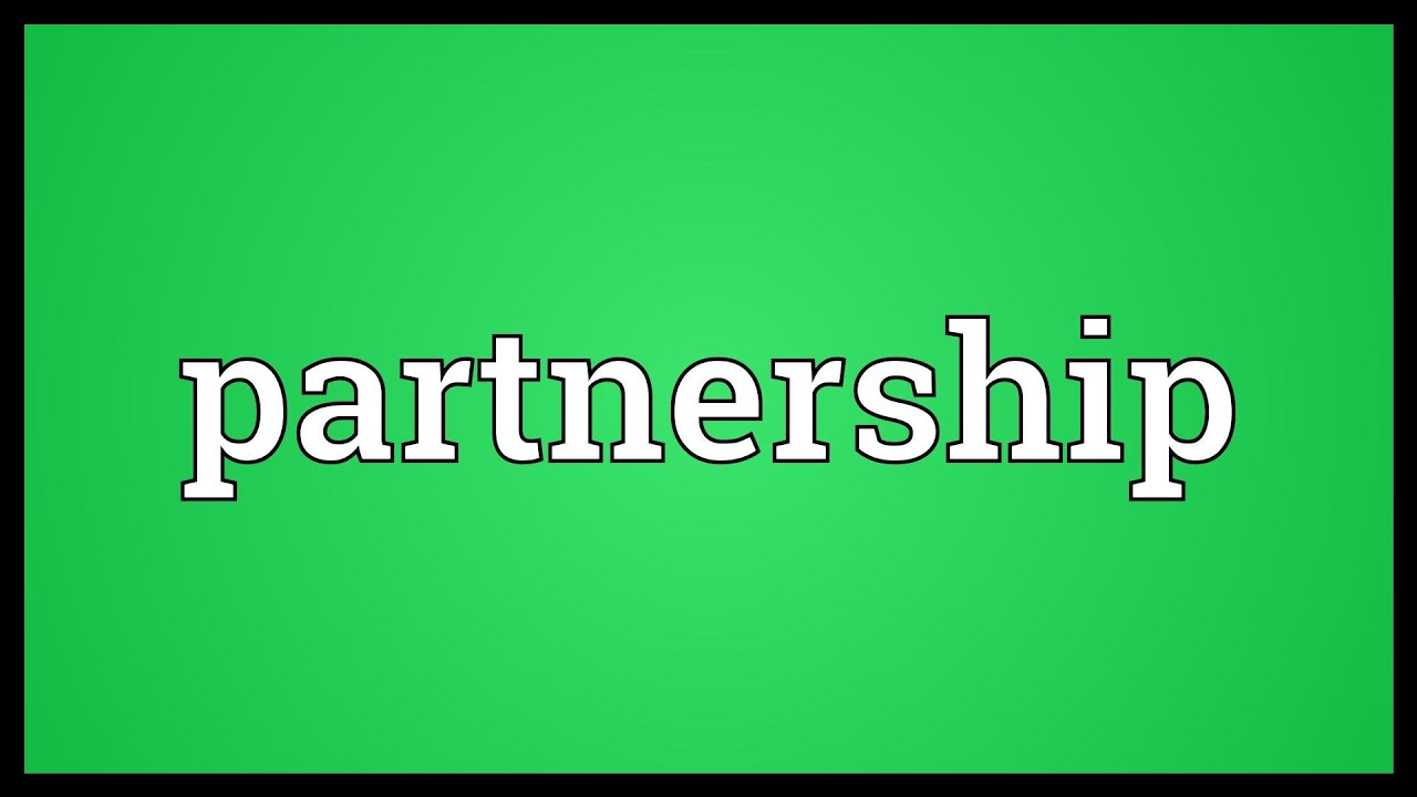 Partner means