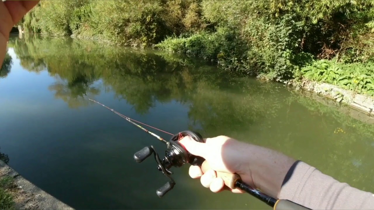 Big UK canal perch on the Abu Garcia Roxani BF8 