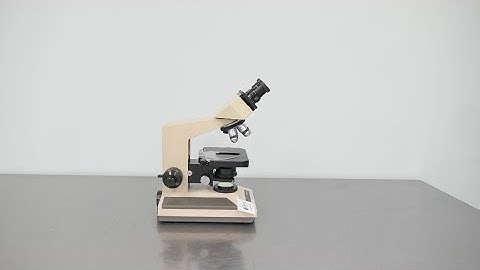 Olympus BH-2 Microscope ID 17653