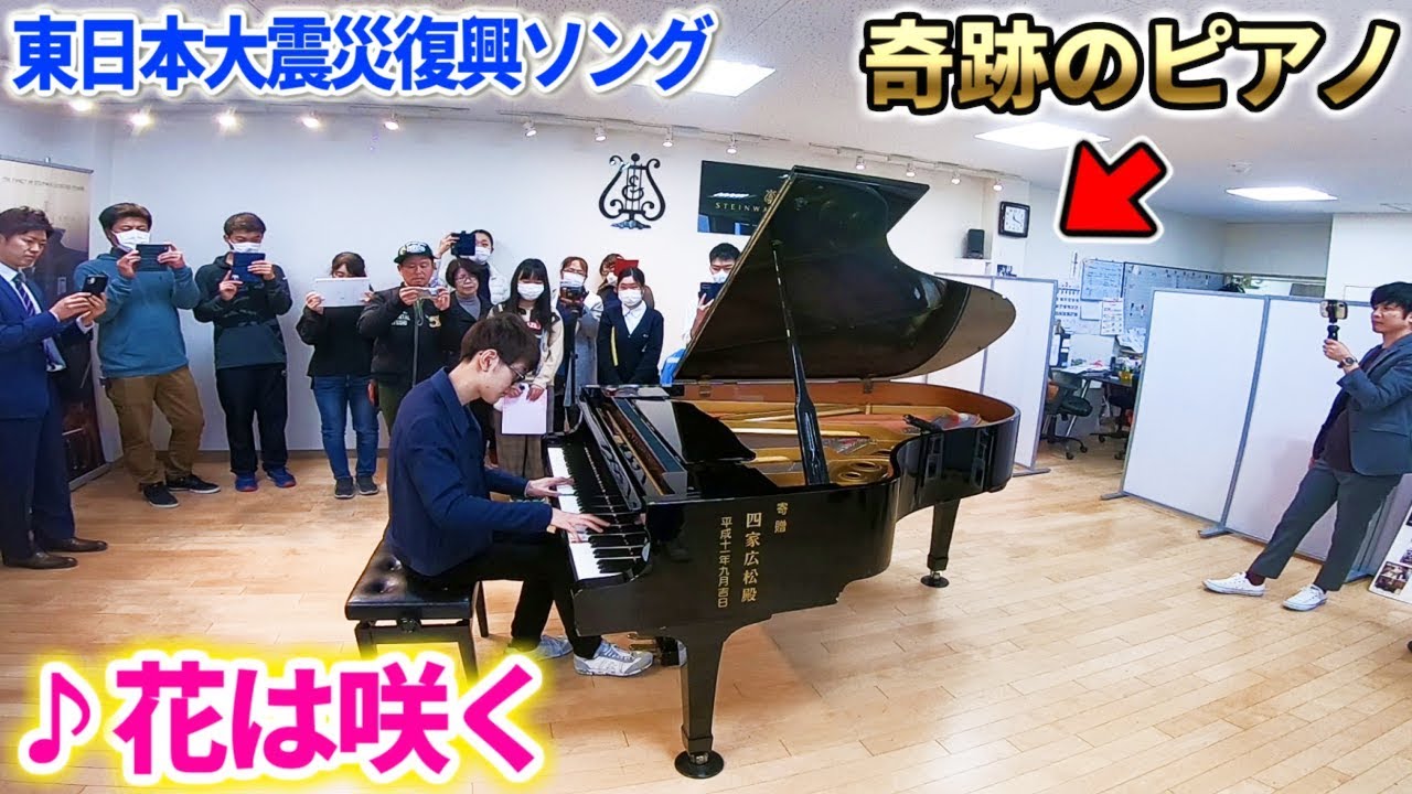 星野希望の動画 画像 動画検索 マイルドサイト