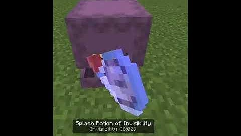 What happen if you give invisibility to shulker in Minecraft pocket edition
