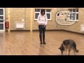 How to teach your dog basic recall - with Watch my Chops Dog Training How to teach your dog basic recall - with Watch my Chops Dog Training