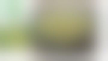 1️⃣ Địa Chỉ Bán Sỉ Lẻ Bạch Tật LêTại HCM ™ Thaphaco