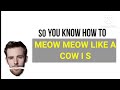 Bfdiabddi 33 meow meow i am cow feattehleafyspartan  blackgryph0n  asdfmovie 10 song