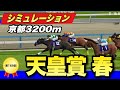 【天皇賞春 2024】菊花賞馬ドゥレッツァ、ダービー馬タスティエーラ、覚醒テーオーロイヤル!古馬長距離王はどの馬だ!