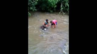 El arroyo de jalpilla