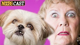 A Dog Story You Won't Believe - Commenting on Comments IS DEAD!!! A Dog Story You Won't Believe - Commenting on Comments IS DEAD!!!