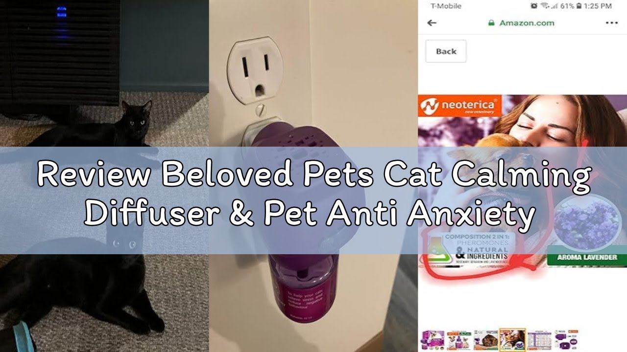 Review Beloved Pets Cat Calming Diffuser & Pet Anti Anxiety Products - Feline Calm Pheromones Plug i