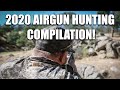 2020 Airgun Hunting Compilation!