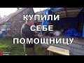 Газель б/у. Грузовичок для деревни и дачи👌. Обзор Газ 330232. Газель-фермер. GAZ