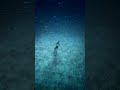 Underwater world