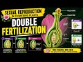 SEXUAL REPRODUCTION IN FLOWERING PLANTS l Topic- Double Fertilization l Ncert line by line l Part -5