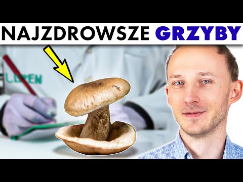 Wideo: Odmiany grzybów i ich korzystne właściwości