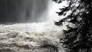 Devils Kettle Falls Roaring, North Shore Lake Superior, Mn