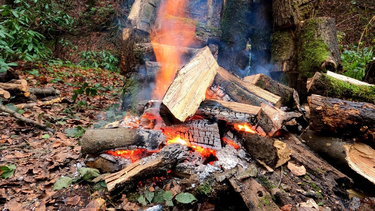 🔥 Relaxing Camp Fire (1 HOUR) with Burning Logs and Crackling Fire Sounds for Stress Relief 4K
