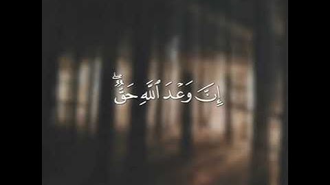 اجمل حالات واتس اب قران كريم بصوت جميل جدا💚 ||خالد الجليل ||💚-- تلاوة خاشعة