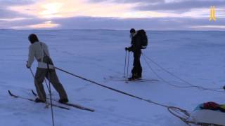 First time pulling pulks on skis