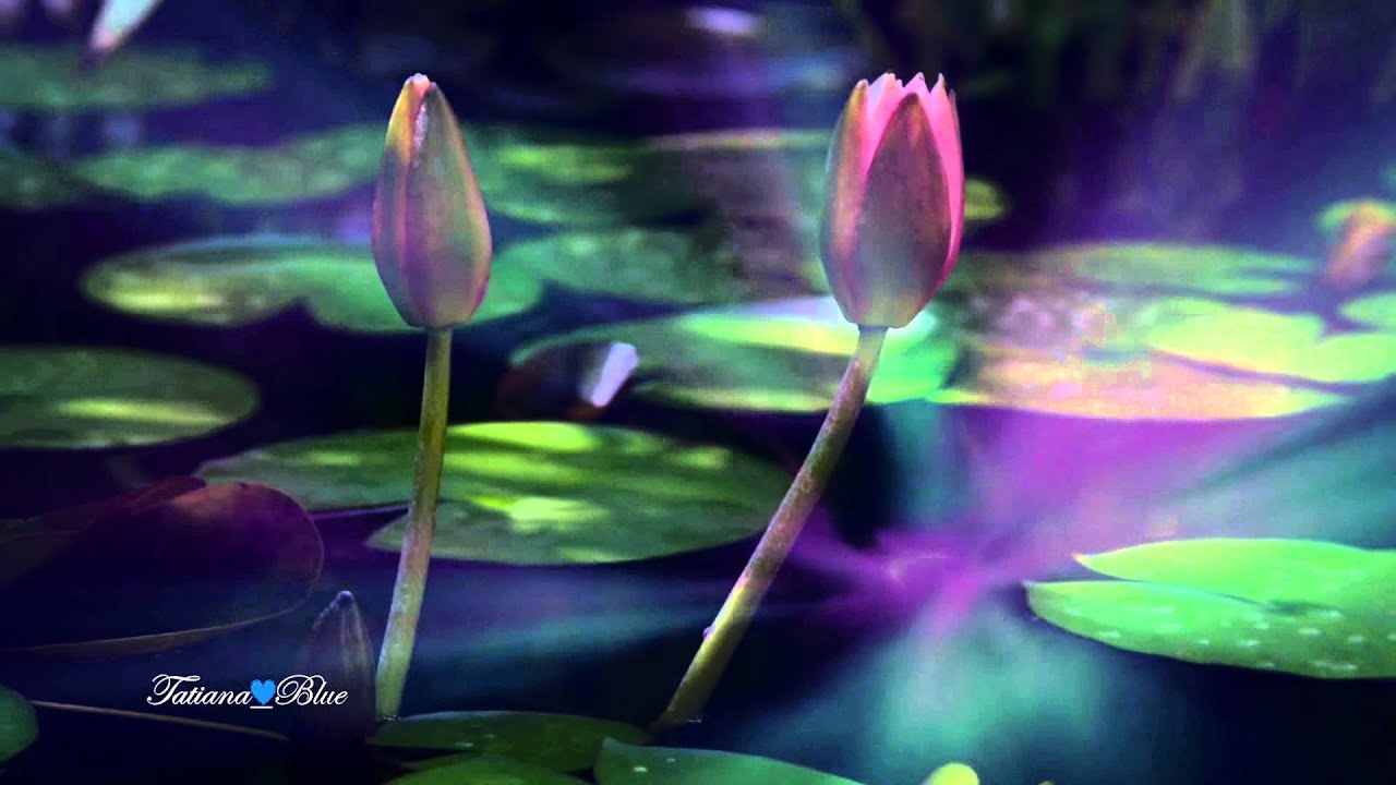 Watch Giovanni Marradi - Peacefully on YouTube Watch Giovanni Marradi - Peacefully on YouTube