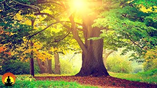 ? Relaxing Music 24/7, Meditation Music, Sleep Music, Healing Music, Study Music, Yoga Music, Relax видео
