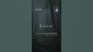 سورة الإخلاص بصوت القارئ محمود أبو عمر