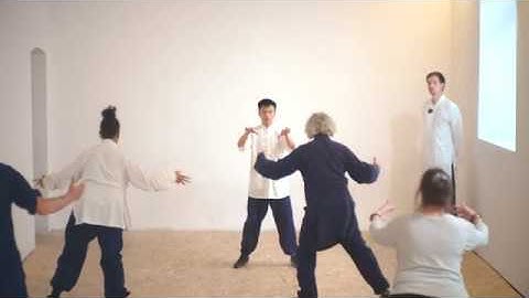 Full Wu Xing (Five Animals) #QiGong Master Class - Advanced Qi Gong Session - No Instructions