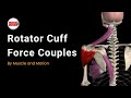 The Rotator Cuff Force Couples
