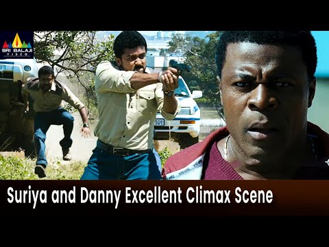Singam Movie Suriya and Danny Excellent Climax Scene | Telugu Movie Scenes @SriBalajiMovies - SRIBALAJIMOVIES