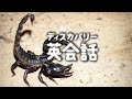 ディスカバリー英会話 | 生物の授業でサソリの種類を聞かれた時に使えるフレーズ (ディスカバリーチャンネル)