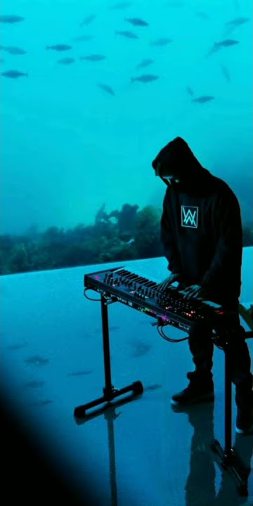 Alan walker - Unity Ringtone
