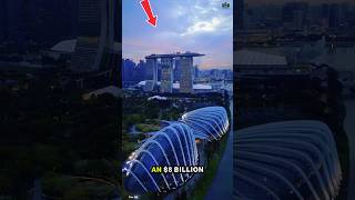 The $8 Billion Gamble That Leans on Purpose.                              #documentary#usashorts#fyp