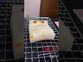 モチモチのモチはうまいモチだ/Japanese Mochi