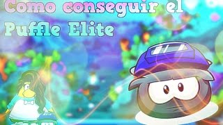 Como conseguir el Puffle Elite :P