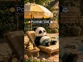 Poolside Chill 😎🐼 | 30 Sec Relaxing Music